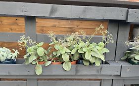 Casa Sivori Sul Lago Di Garda Con Ampio Giardino